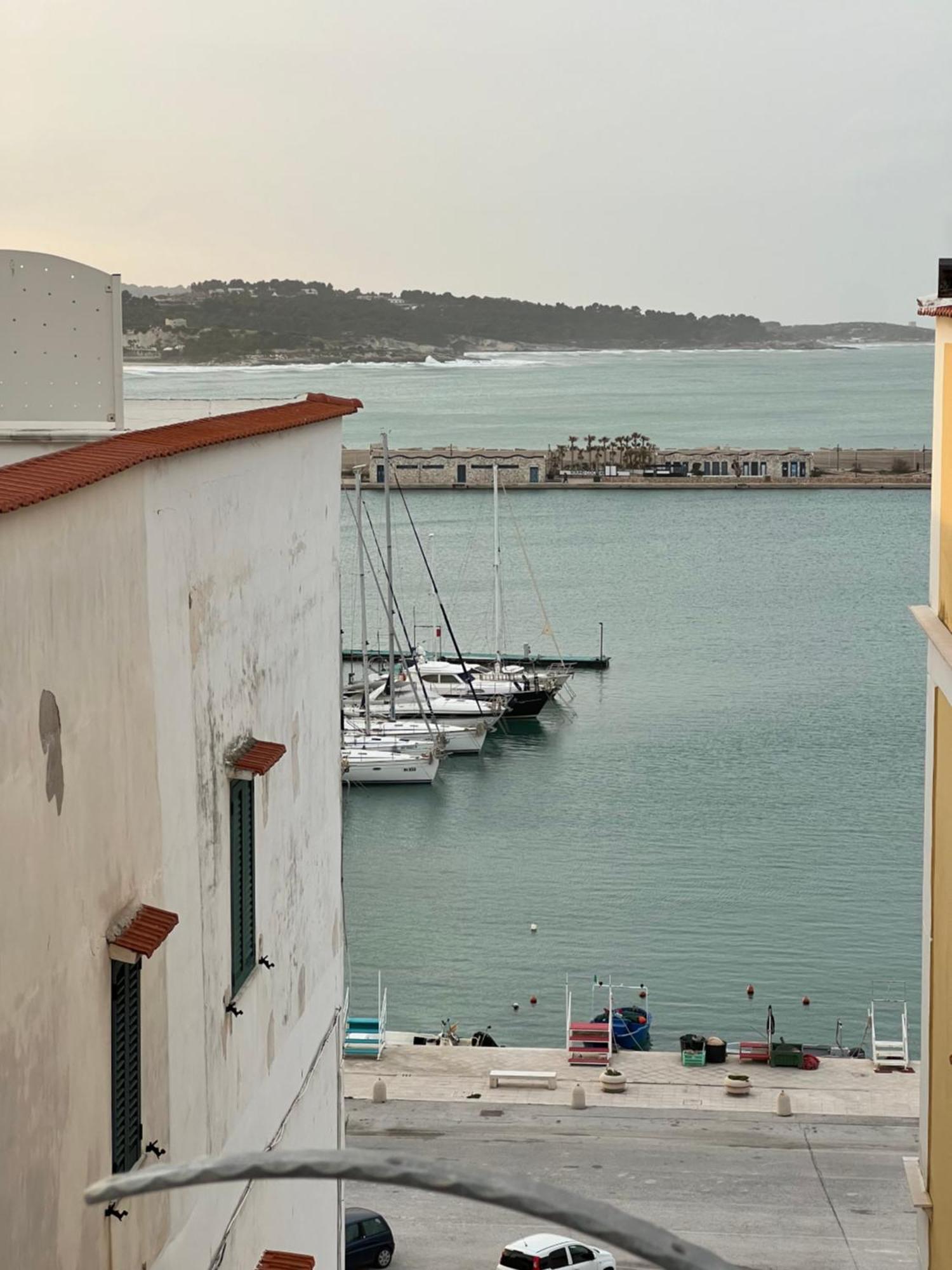 North Wind Luxury Home Vieste Dış mekan fotoğraf